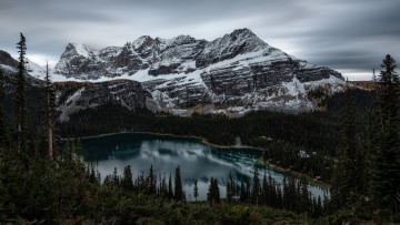 Картинка природа реки озера озеро охара национальный парк йохо канада