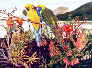 Картинка тони оливер рисованные tony oliver экзотика попугаи цветы