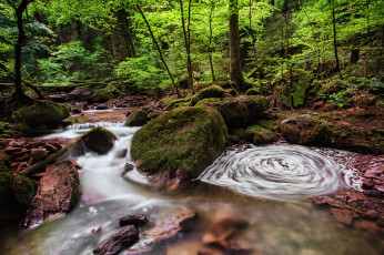 Картинка природа реки озера камни лес течение вода