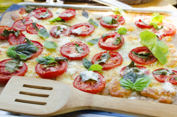 Картинка еда пицца помидоры базилик сыр
