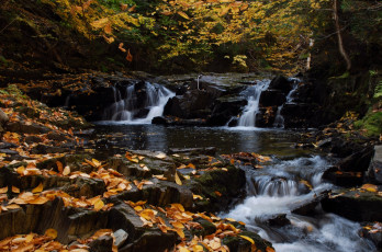 Картинка nigadoo river canada природа водопады канада каскад река лес осень листья