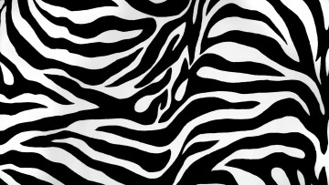 Картинка разное текстуры текстура зебра полосы