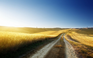 Картинка природа дороги дорога поле