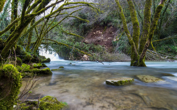 Картинка природа реки озера река камни мох лес
