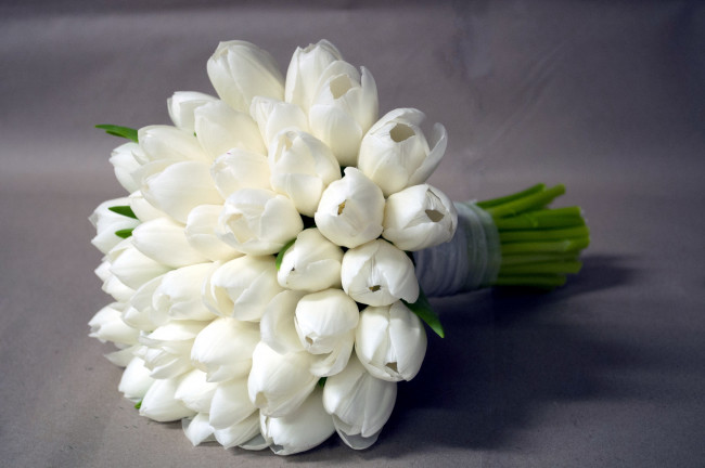 Обои картинки фото цветы, тюльпаны, букет, белый