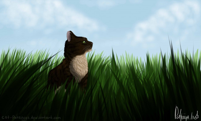 Обои картинки фото рисованные, животные,  коты, трава, кот