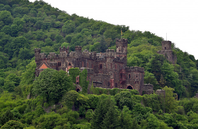 Обои картинки фото reichenstein castle,  germany, города, - дворцы,  замки,  крепости, замок, лес, склон, башни, стены