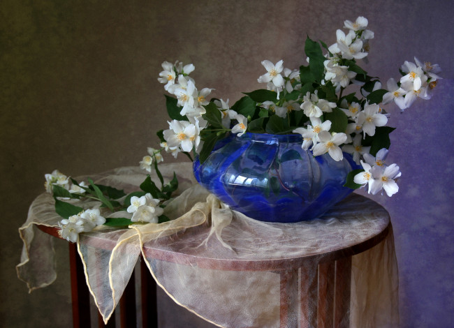 Обои картинки фото цветы, жасмин, ваза