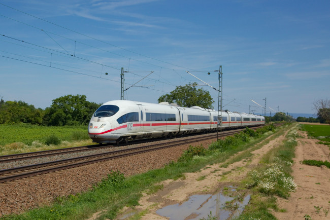 Обои картинки фото техника, поезда, поезд, скоростной