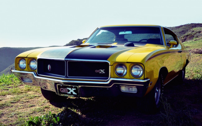 Обои картинки фото buick, автомобили, 1970, classica, gsx