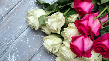 Картинка цветы розы белые розовые бутоны