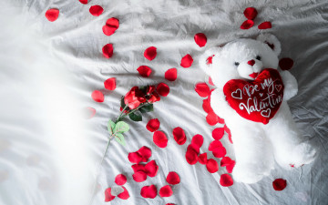 Картинка праздничные день+святого+валентина +сердечки +любовь роза лепестки медвежонок надпись