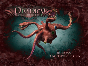 Картинка divine divinity видео игры