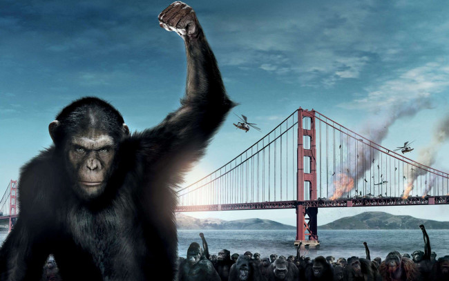 Обои картинки фото восстание, планеты, обезьян, кино, фильмы, rise, of, the, planet, apes, мост, обезьяны