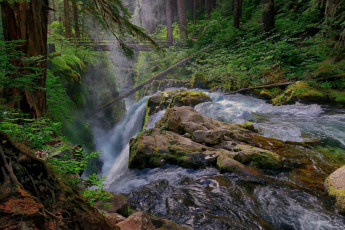 Картинка sol duc falls olympic national park washington природа водопады лес мост река