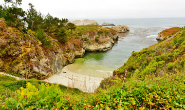 обоя природа, побережье, бухта, море, деревья, трава, камни, скалы, пляж