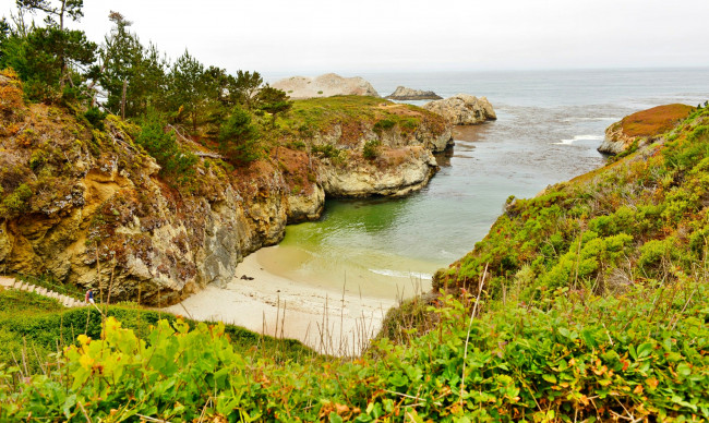 Обои картинки фото природа, побережье, бухта, море, деревья, трава, камни, скалы, пляж