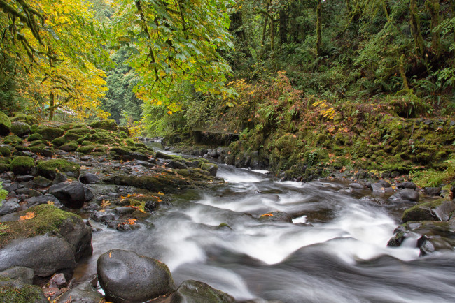 Обои картинки фото природа, реки, озера, осень, камни, лес, река