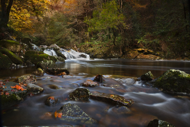 Обои картинки фото river, erme, devon, england, природа, реки, озера, осень, англия, девон, лес, камни, река