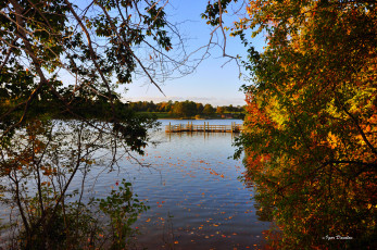 Картинка природа реки озера деревья небо осень река