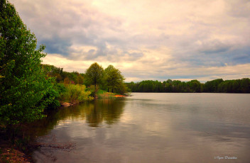 Картинка природа реки озера озеро деревья небо