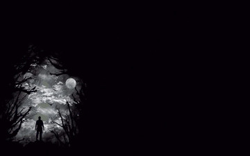 Картинка 3д+графика атмосфера настроение+ atmosphere+ +mood+ птицы луна человек ночь