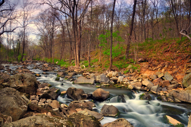 Обои картинки фото природа, реки, озера, поток, осень, лес, камни, ручей, река