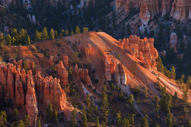 Обои картинки фото природа, горы, сша, юта, bryce, canyon, national, park, скалы, деревья, склон