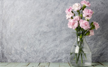 Картинка цветы гвоздики лепестки vintage flowers розовые wood beautiful romantic pink