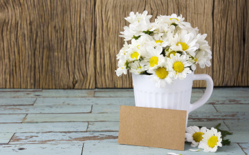 обоя цветы, ромашки, flowers, кружка, mug, camomile, romantic