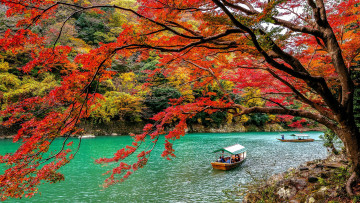 Картинка корабли катера деревья река осень
