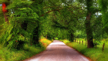 Картинка природа дороги проселочная дорога