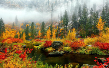 Картинка природа реки озера ручей осень туман