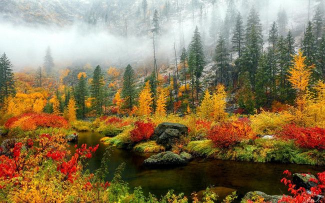 Обои картинки фото природа, реки, озера, ручей, осень, туман