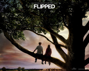 Картинка flipped кино фильмы