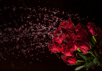 Картинка цветы розы букет вода брызги эффектно