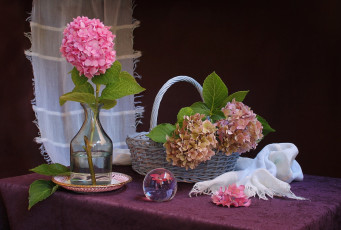 Картинка цветы гортензия натюрморт корзинка