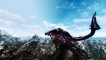 Картинка the elder scrolls skyrim видео игры дракон