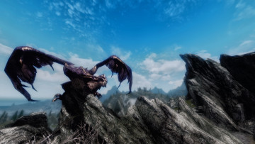 Картинка the elder scrolls skyrim видео игры дракон