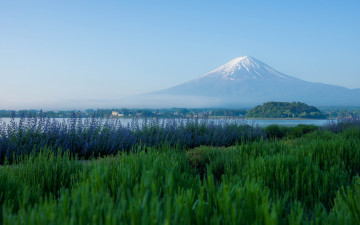 Картинка mount fuji lake kawaguchi japan природа горы озеро кавагути фудзияма фудзи Япония вулкан лаванда луг