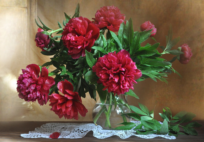 Обои картинки фото цветы, пионы, бордовый, букет