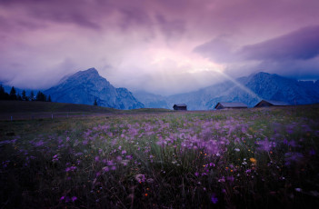 Картинка природа луга домики горы сиреневые цветы пейзаж небо свет поле луг