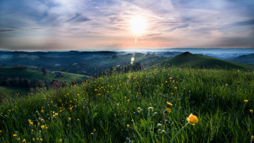 Картинка природа восходы закаты пейзаж облака солнце цветы холмы лето трава луг поле