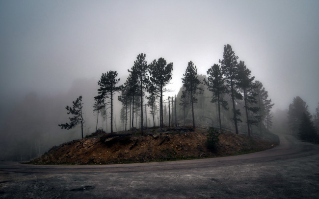 Обои картинки фото природа, дороги, туман, деревья, пейзаж