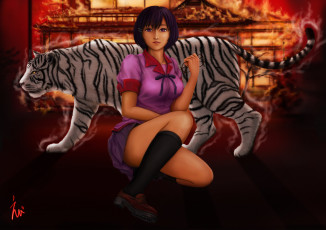 Картинка аниме bakemonogatari девушка тигр