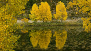 Картинка природа реки озера деревья осень озеро