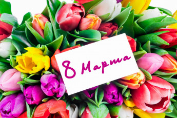 обоя праздничные, международный женский день - 8 марта, тюльпаны, цветы
