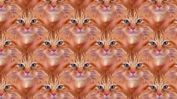 Картинка разное компьютерный+дизайн фон кошка взгляд