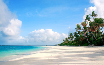 Картинка природа тропики пальмы пляж море остров отдых