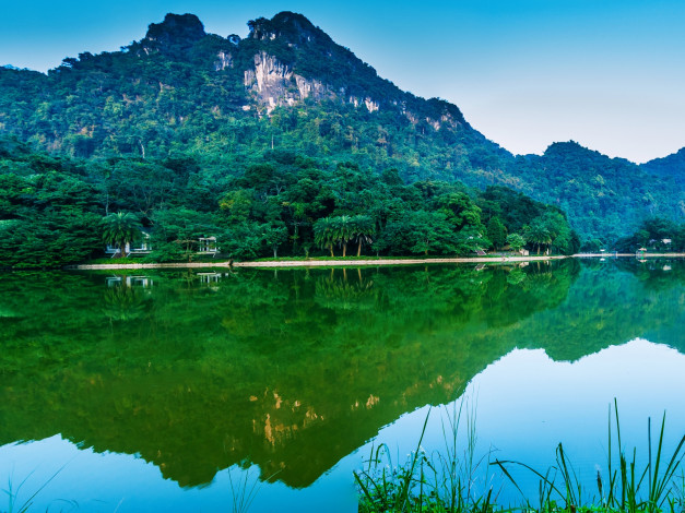 Обои картинки фото вьетнам, природа, пейзажи, растения, деревья, пальмы, горы, водоем